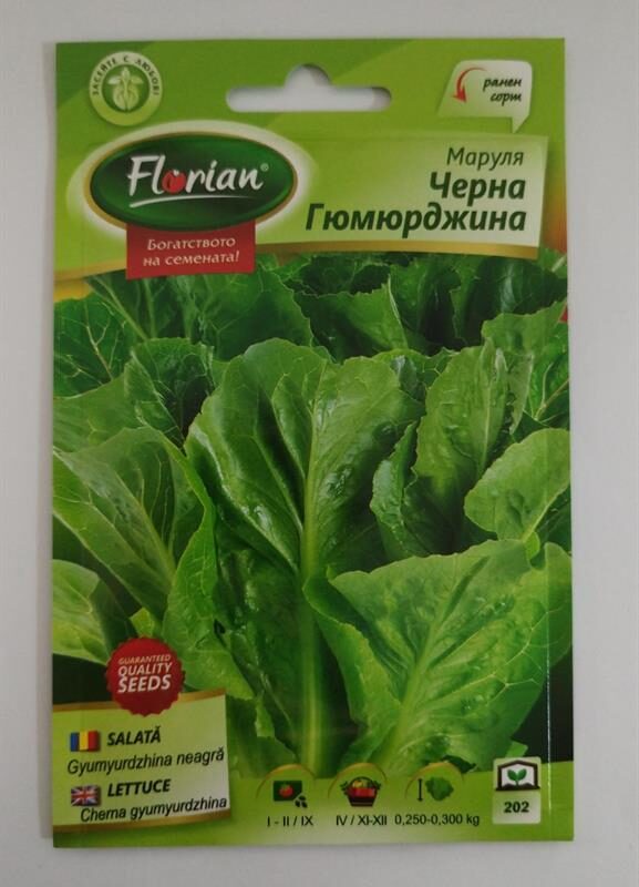 Маруля Черна гюмюрджинска Флориян 2 гр